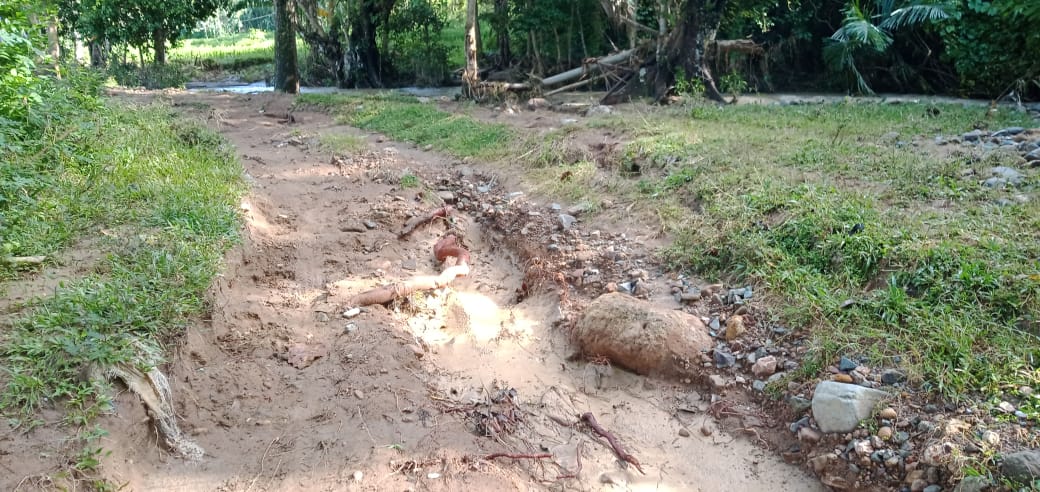 Infrastruktur Memprihatinkan! Jalan dan Jembatan di Buwunmas Sekotong Amburadul Puluhan Tahun